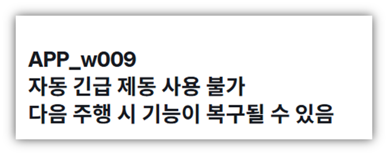테슬라 모델Y APP_w009 원인 및 조치방법 안내 테슬라 모델Y APP_w009 원인 및 조치방법 안내